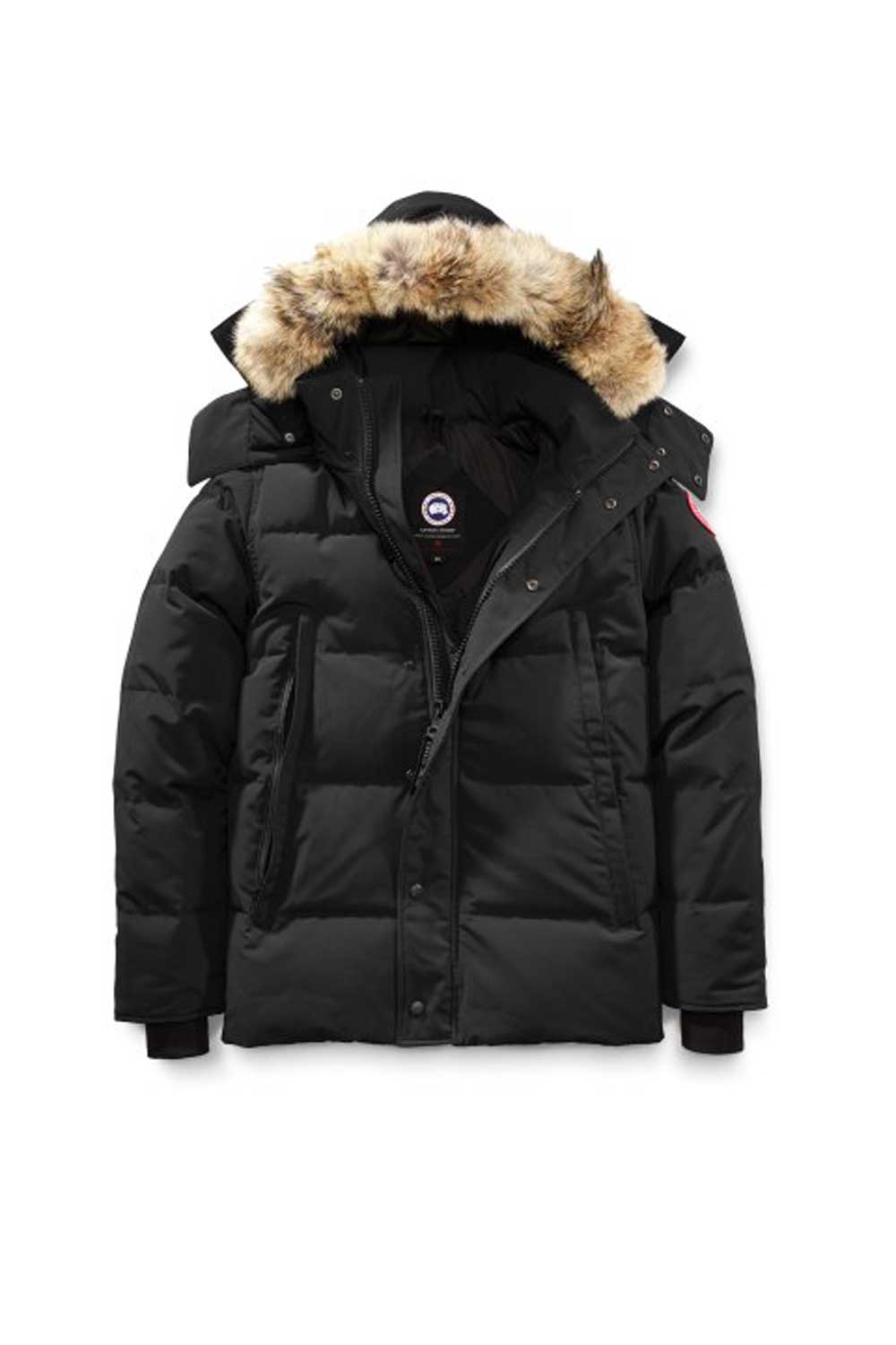 Canada Goose